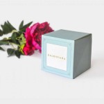 Caja multipropósito azul