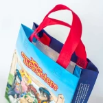 Bolsa de TNT plastificada